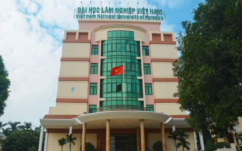 Điểm trúng tuyển Đại học Lâm nghiệp năm 2021 mới nhất