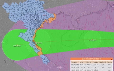 Công điện hỏa tốc về ứng phó với bão số 8