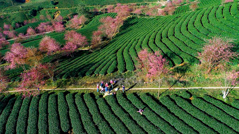 Du lịch chuyển trạng thái thích ứng an toàn, linh hoạt trong bối cảnh bình thường mới