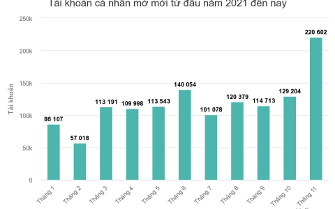 Kỷ lục hơn 220.000 tài khoản chứng khoán cá nhân mở mới trong tháng 11