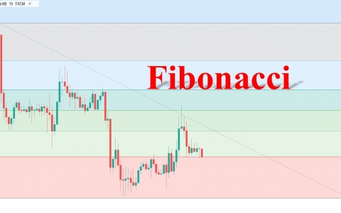 Chỉ báo Fibonacci là gì? Cách sử dụng trong đầu tư chứng khoán