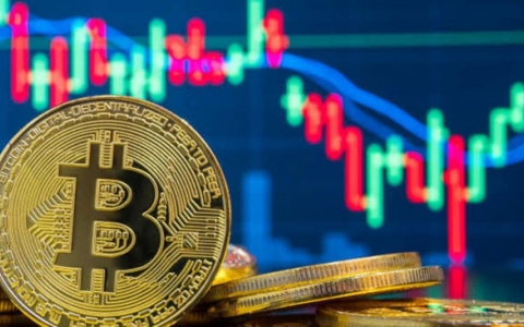 Bitcoin giảm giá chóng mặt