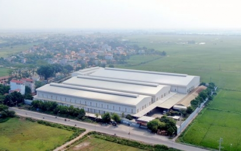 Lý do nào khiến cổ đông của VNH bị xử phạt?