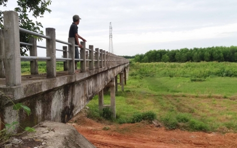 Sau cơn sốt, giới đầu tư ‘ôm đất’ thành ôm ‘bom’