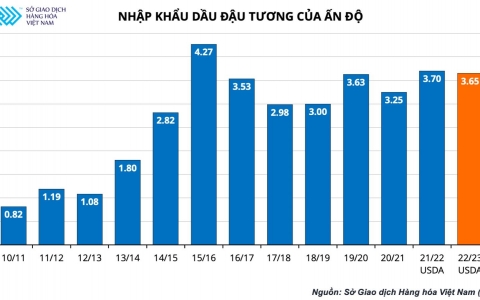 Indonesia nối lại xuất khẩu dầu cọ, thế giới vẫn thiếu hụt dầu ăn!