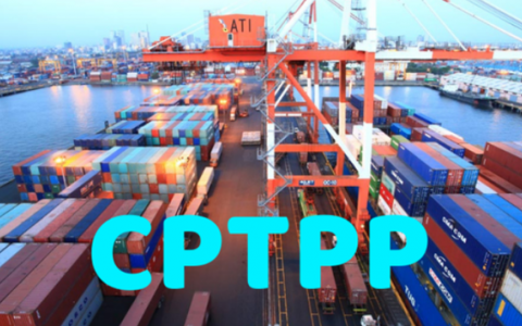 Thuế xuất khẩu ưu đãi thực hiện Hiệp định CPTPP từ 8,3%-3,6%