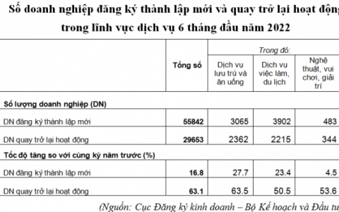 Doanh nghiệp đăng ký thành lập mới có liên quan đến lĩnh vực du lịch gia tăng ấn tượng