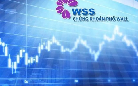 Vi phạm quản lý chứng khoán khách hàng, WSS bị xử phạt gần 180 triệu đồng