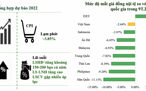 Chứng khoán: VN-Index khó tăng vượt quá 100 điểm trong quý này?