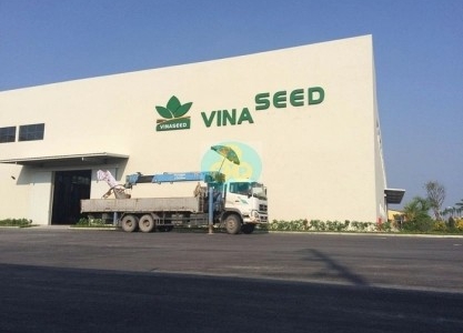 Khai sai thuế, Vinaseed bị truy thu thuế