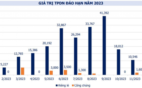 Doanh nghiệp không phát hành mới trái phiếu trong tháng 2, mua lại gần 8,6 nghìn tỷ đồng