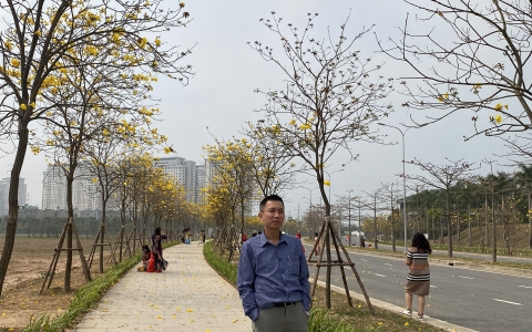 Thơ Nguyễn Văn Long: Nắng Trưa Vàng