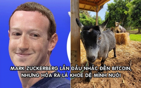 Tỷ phú Mark Zuckerberg và hai chú dê gây sốt giới đầu tư tiền ảo Bitcoin