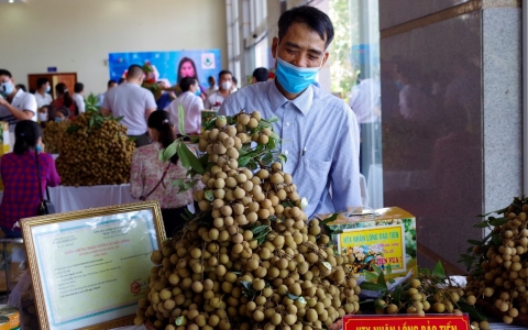 Khuyến khích phân phối, đẩy mạnh tiêu thụ nông sản qua kênh thương mại điện tử