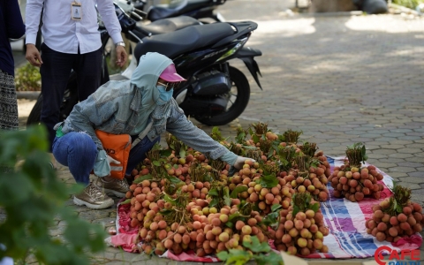 Hà Nội bổ sung 10 nhóm đối tượng được hỗ trợ tiền Covid-19