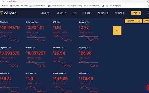 Giá Bitcoin hôm nay (ngày 25/8): Bitcoin giảm xuống ngưỡng 48.000 USD