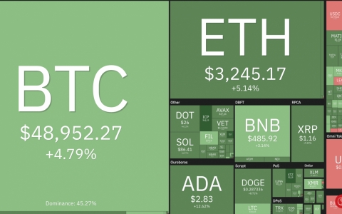 Giá Bitcoin hôm nay (mới nhất 28/8): Bitcoin tăng hơn 4%