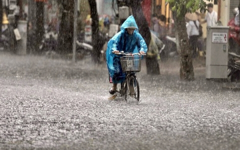 Tuần này Bắc Bộ nhiều nơi mưa to đến rất to