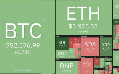 Giá Bitcoin hôm nay (mới nhất 7/9): Bitcoin tăng trưởng liên tục với tốc độ cao