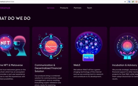 Startup Metaverse Việt Nam huy động được 1 triệu USD