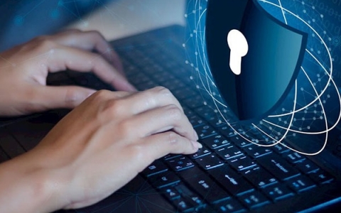 Những lĩnh vực bị tấn công mạng nhiều nhất năm 2021