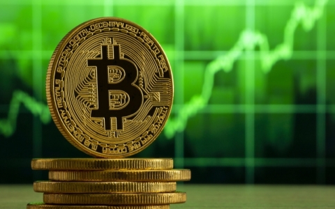 Bitcoin hồi phục sau cú giảm thảm hại