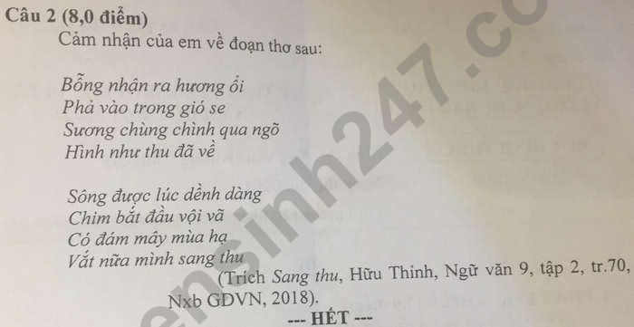  Đề thi vào lớp 10 môn Ngữ văn năm 2021 tỉnh Bạc Liêu