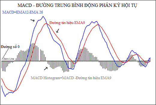 Chỉ báo Đường trung bình động Hội tụ và Phân kỳ (MACD)