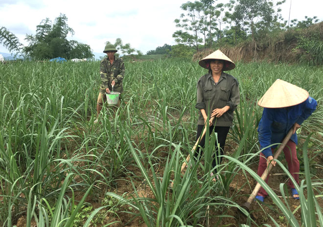 Công bố thông tin quá hạn, SCA bị xử phạt nặng