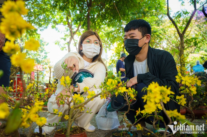 Cách đó không xa, tại gian hàng đào của ông Nguyễn Văn Ân (quê Bến Tre), lượng mai mini vẫn còn nhiều. Ông tiếc nuối vì tốn tiền xe chở đi chở về.