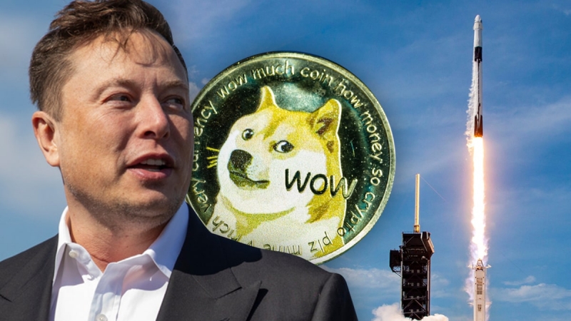 cha đẻ Dogecoin gọi Elon Musk là 'kẻ chỉ biết quan tâm đến bản thân' (Ảnh: Theverge)