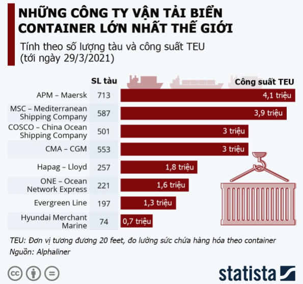 Những công ty vận tải biển container lớn nhất thế giới (Ảnh: Statista)