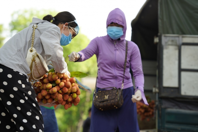 Hiện, việc giải cứu nông sản từ Bắc Giang đang nhận được sự ủng hộ, quan tâm lớn của mọi người tại Thủ đô