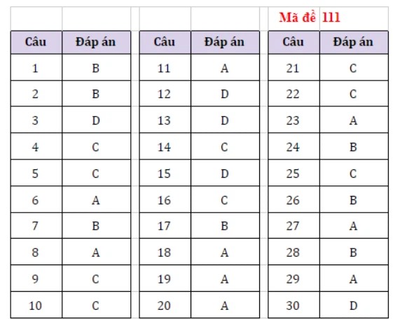 Đạp án đề thi Tiếng ANh (mã đề 111)