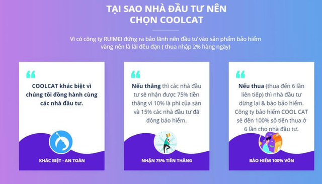 Coolcat - Sàn giao dịch bảo hiểm đền 100% (Ảnh: VTV)