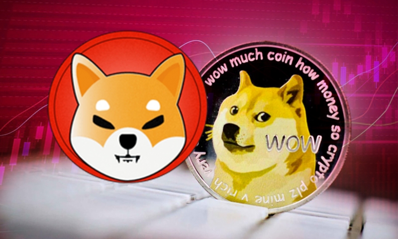 Lượng nhà đầu tư Dogecoin và Shiba Inu bất ngờ tăng mạnh