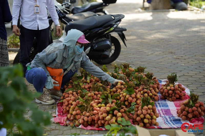 Hà Nội bổ sung 10 nhóm đối tượng được hỗ trợ tiền Covid-19