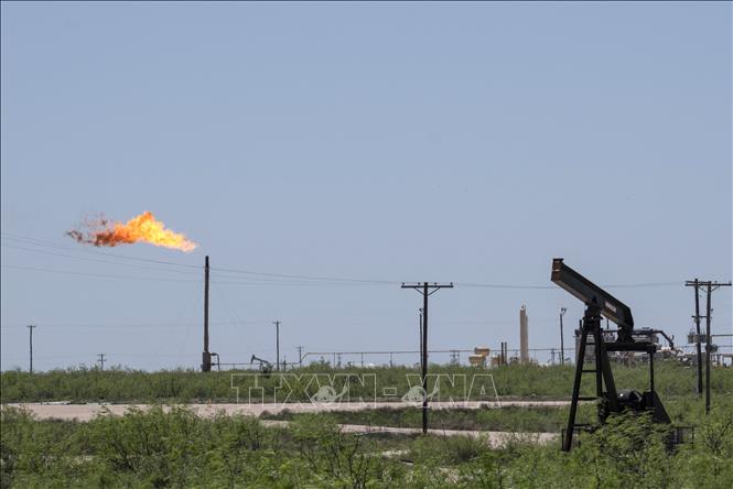 Một cơ sơ khai thác dầu tại Odessa, Texas, Mỹ. Ảnh: AFP/TTXVN