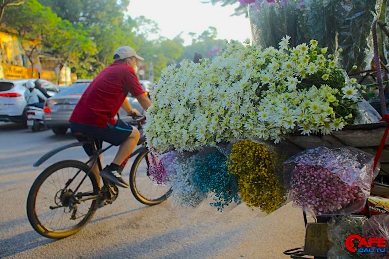 Lý giải về việc cúc họa mi rẻ nhưng vẫn ít người mua, một số tiểu thương bán hoa cho rằng, do ảnh hưởng của dịch Covid-19 nên nhu cầu chơi hoa của người dân giảm mạnh. Ngoài ra, mỗi ngày Hà Nội ghi nhận hàng trăm ca mắc Covid-19 nên người dân cũng hạn chế việc đi lại