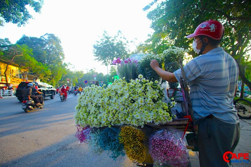 Chú Hạnh, một người bán hoa trên đường Thanh Niên đang tỉa tót, sắp xếp lại các bó hoa trên xe