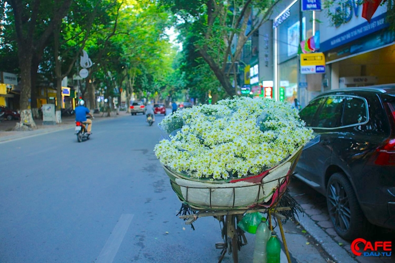 Cô Lý chia sẻ thêm, vào ngày lễ hoặc dịp cuối tuần thì cô bán được khoảng 20 – 30 bó/ngày, còn các ngày bình thường thì bán được rất ít