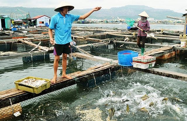 Bổ sung 102 tỷ hỗ trợ kinh phí thực hiện chính sách phát triển thủy sản - ảnh minh họa