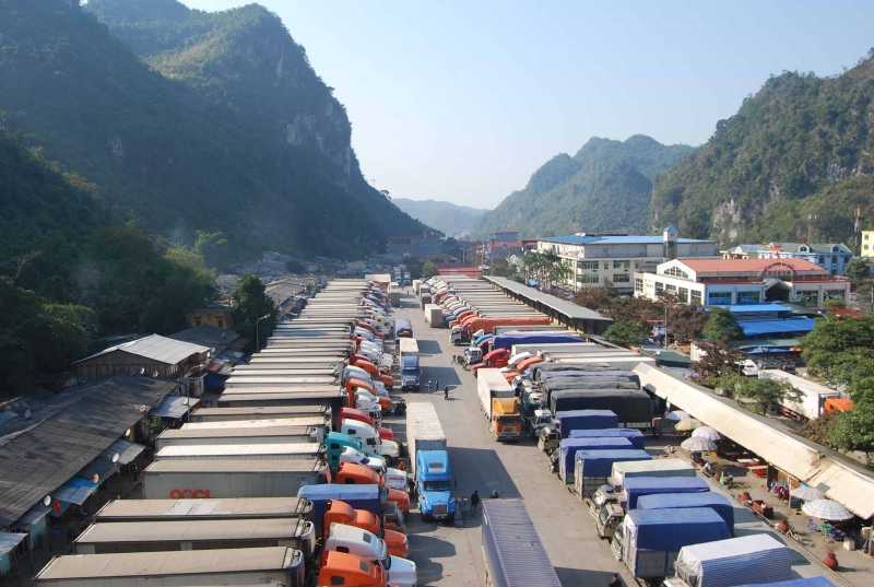 Hiện chỉ có 9 loại hoa quả của Việt Nam được phép đi chính ngạch sang Trung Quốc, còn lại phải xuất khẩu tiểu ngạch