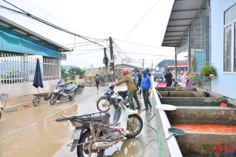 Khu vực chợ buôn bán cá chép đỏ của làng Thủy Trầm luôn có đông khách mua hàng đi các tỉnh